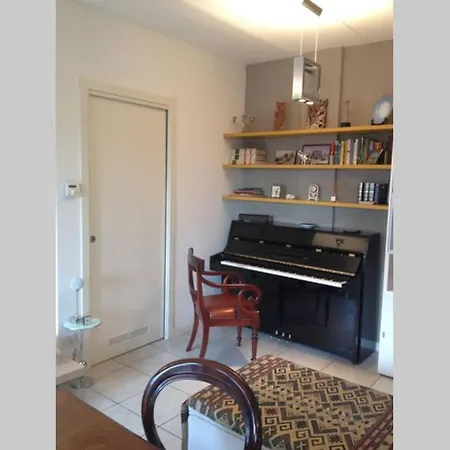 Apartment Studio Teddy Bear